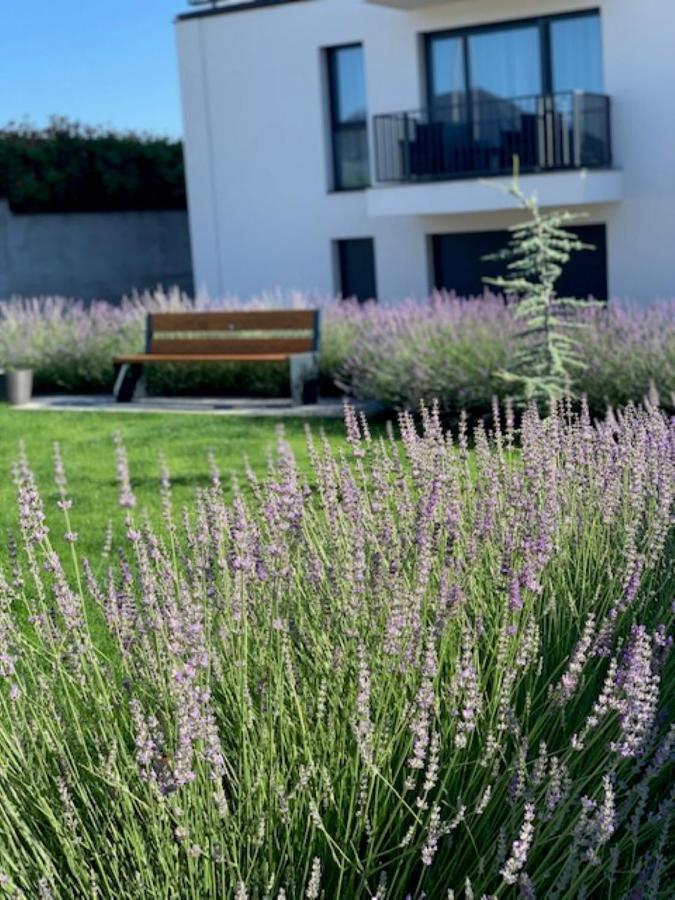 Paskom Apartmanhaz Nyergesujfalu Экстерьер фото